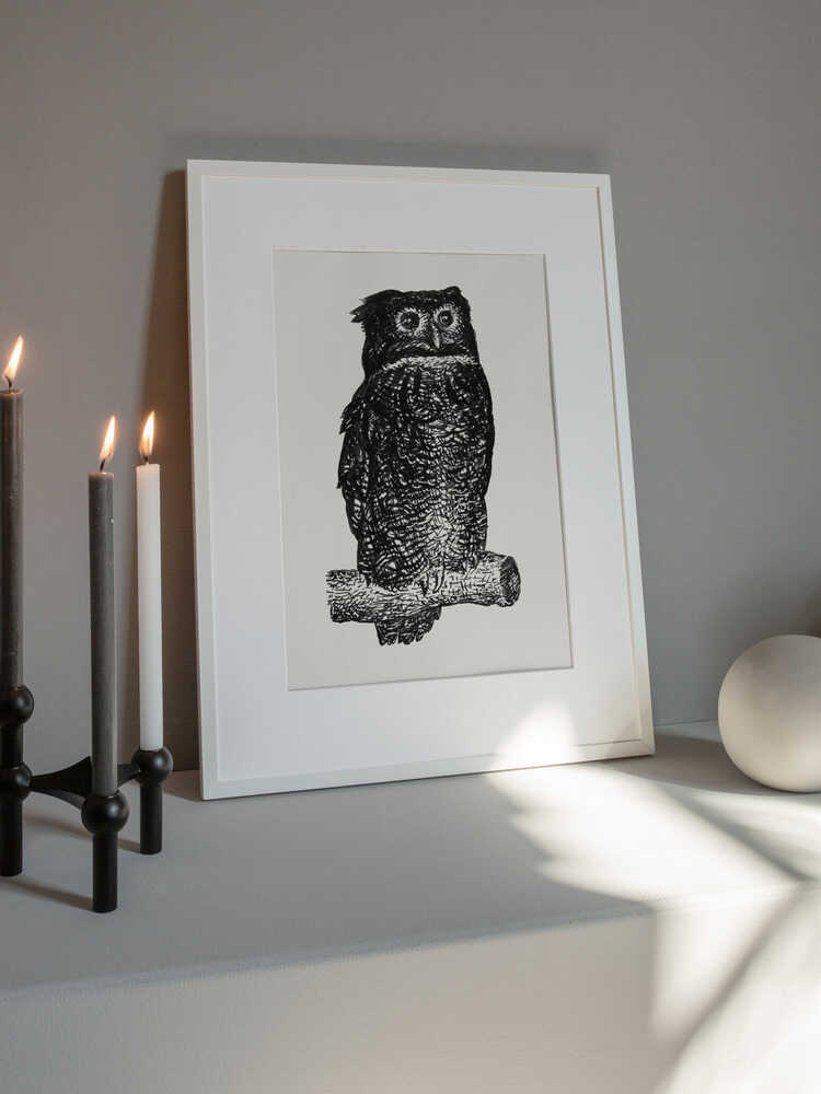 Owl