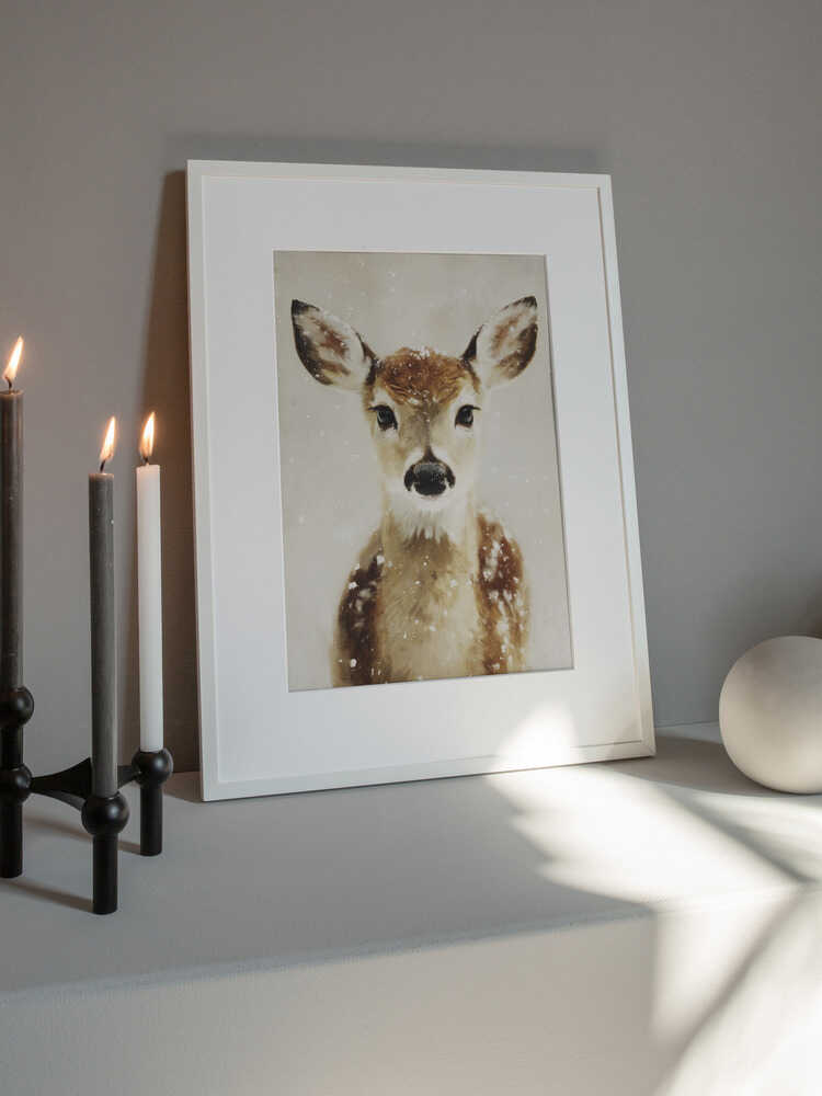Young Deer