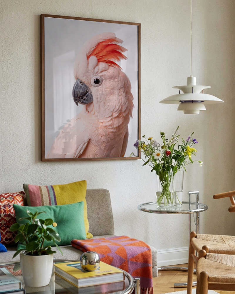 Majestic Salmon Cockatoo