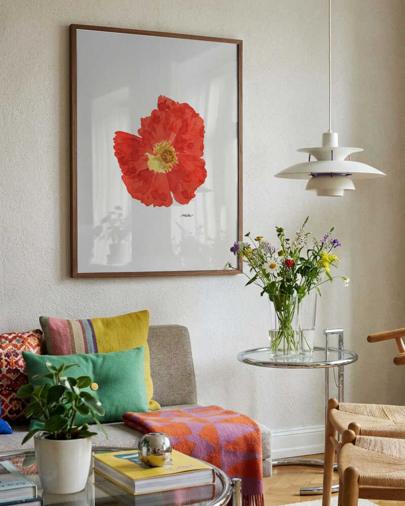 Single Red Poppy
