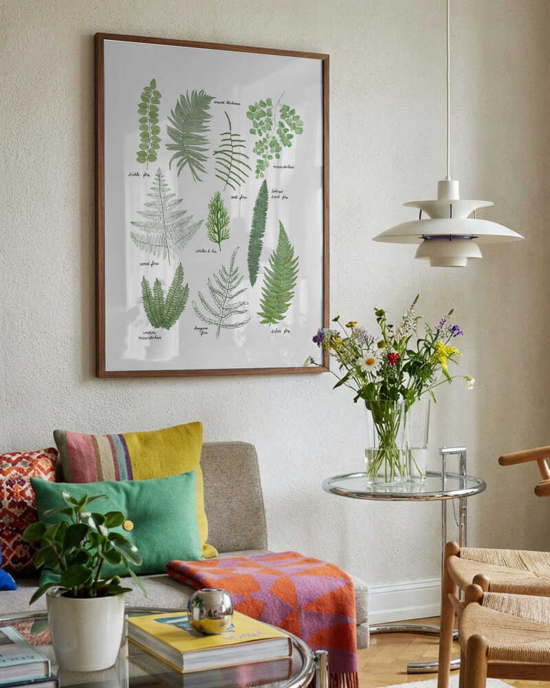Illustrated Fern Varieties