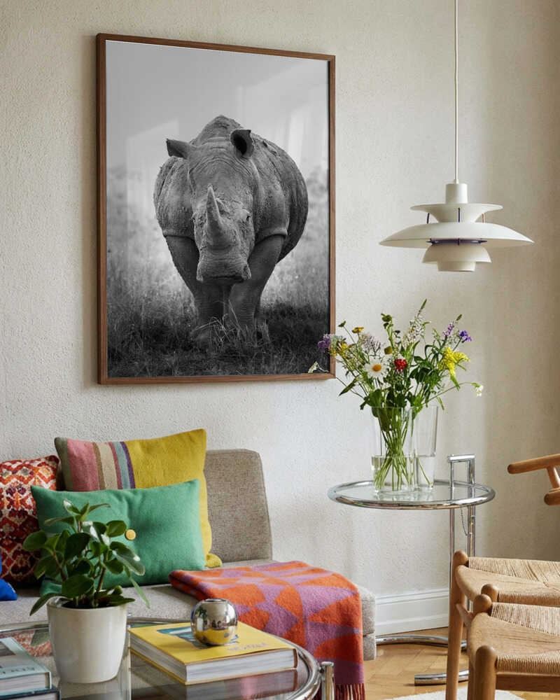 Powerful Rhino Portrait