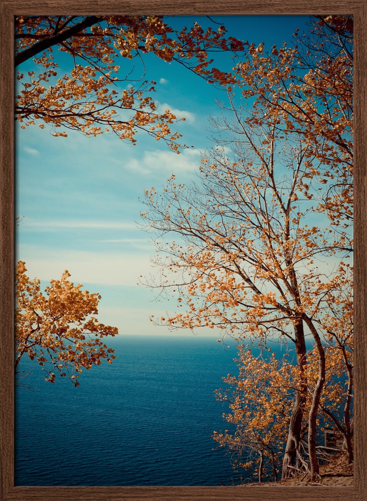 Golden Trees Ocean Vista