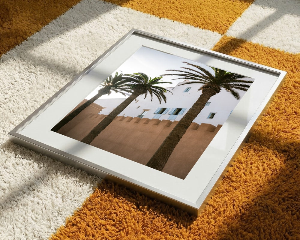 Sunny Palms And White Walls
