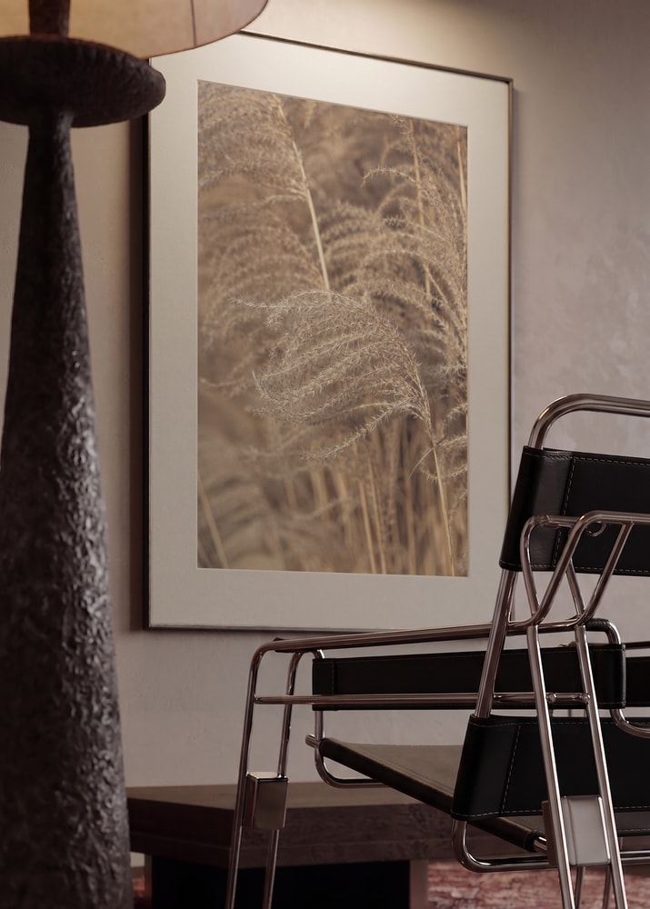 Soft Pampas Grass