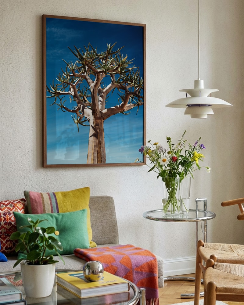 Quiver Tree Blue Sky