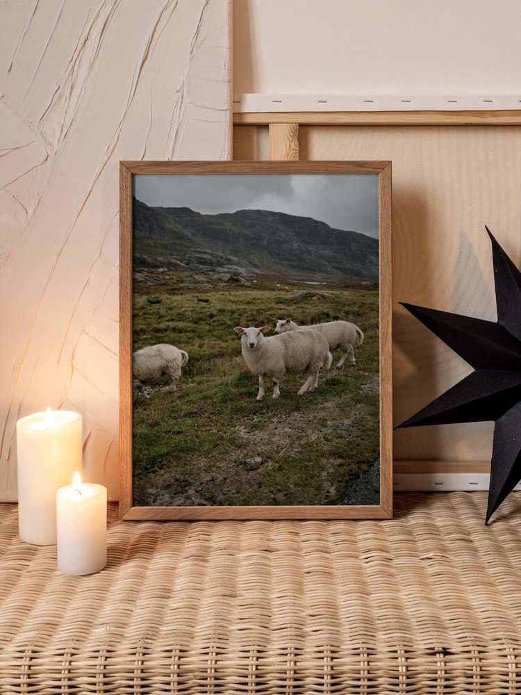 Sheep in Mountain Landscape