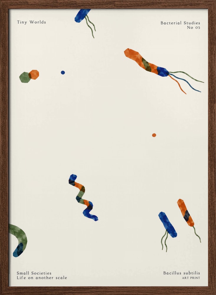 Tiny Worlds Bacterial Study