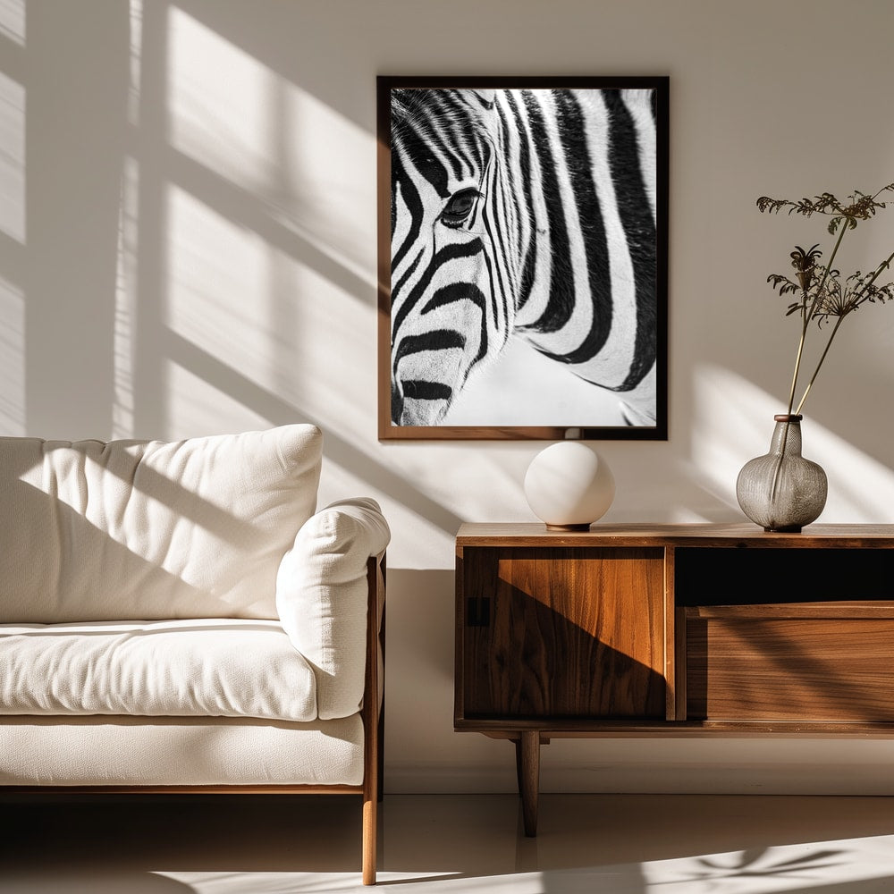 Black And White Zebra
