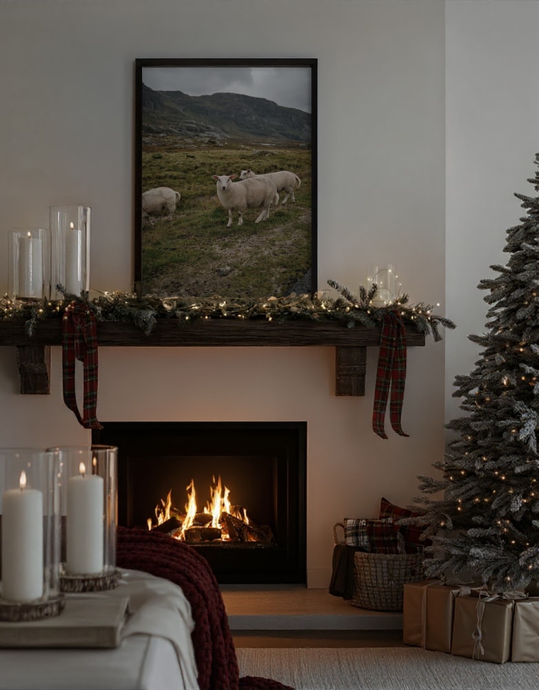 Sheep in Mountain Landscape