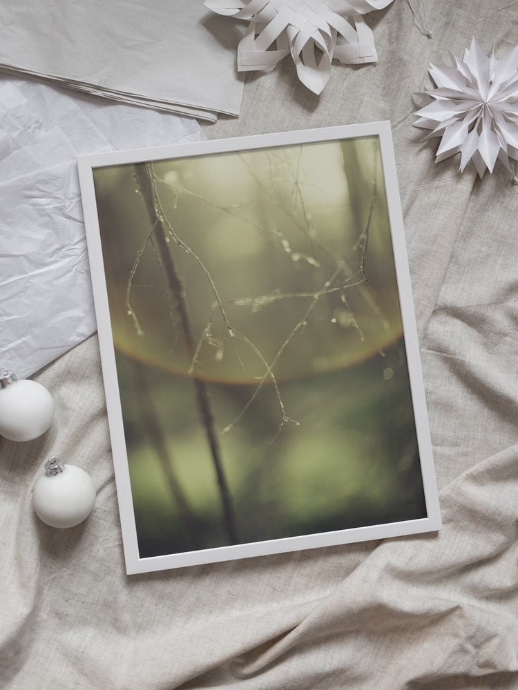 Misty Morning Branches