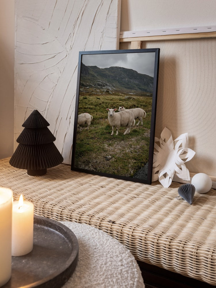 Sheep in Mountain Landscape