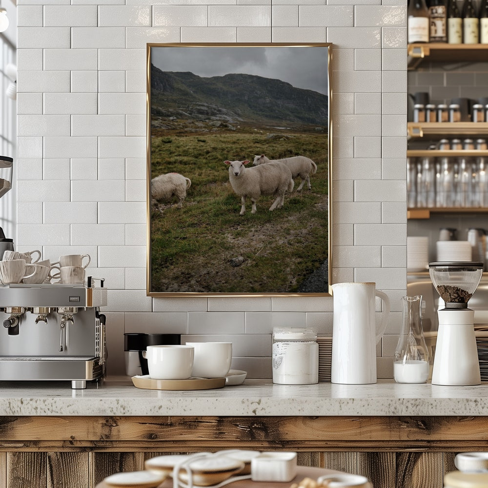 Sheep in Mountain Landscape