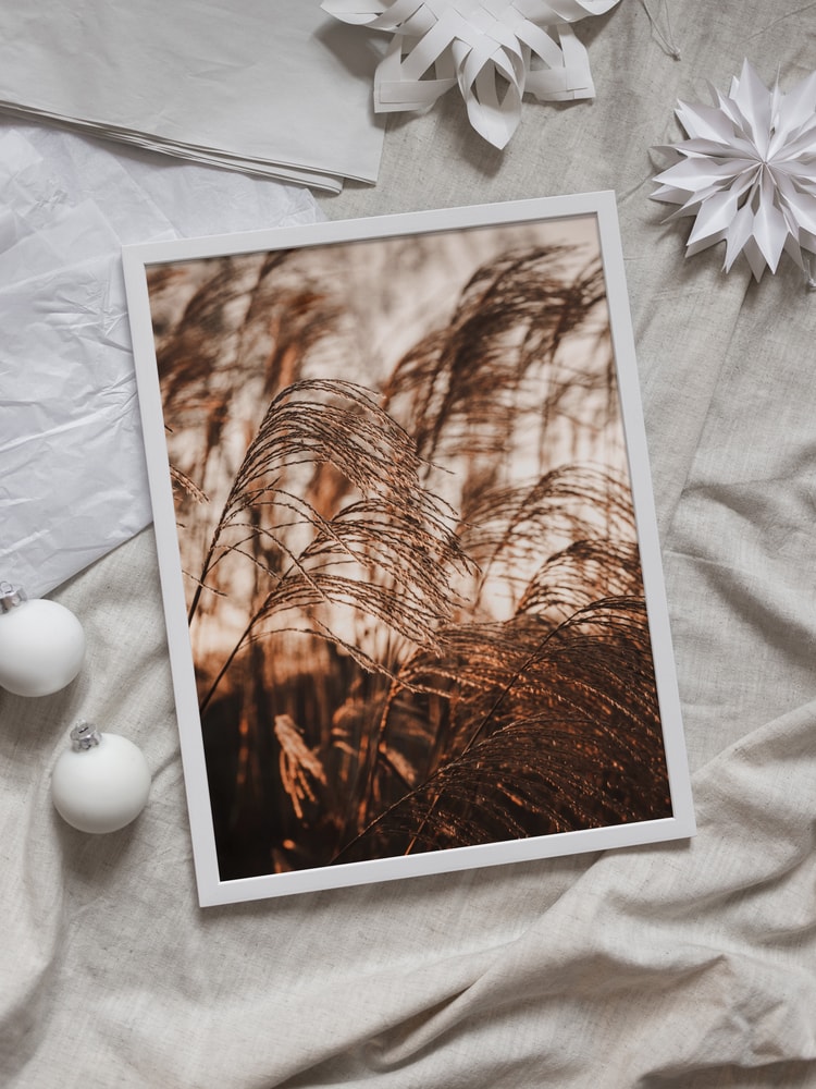 Swaying Pampas Grass