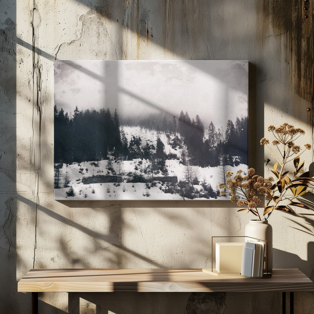 Misty Winter Forest