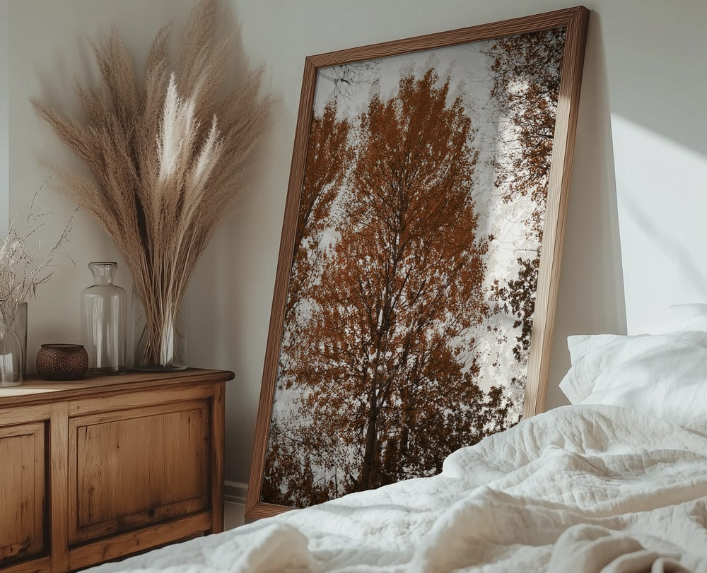 Autumn Tree Canopy