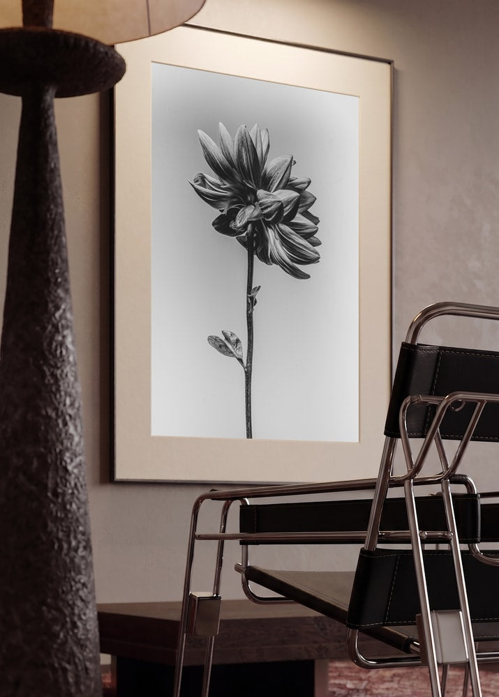 Elegant Monochrome Flower