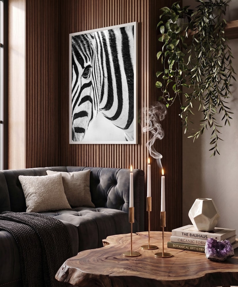 Black And White Zebra
