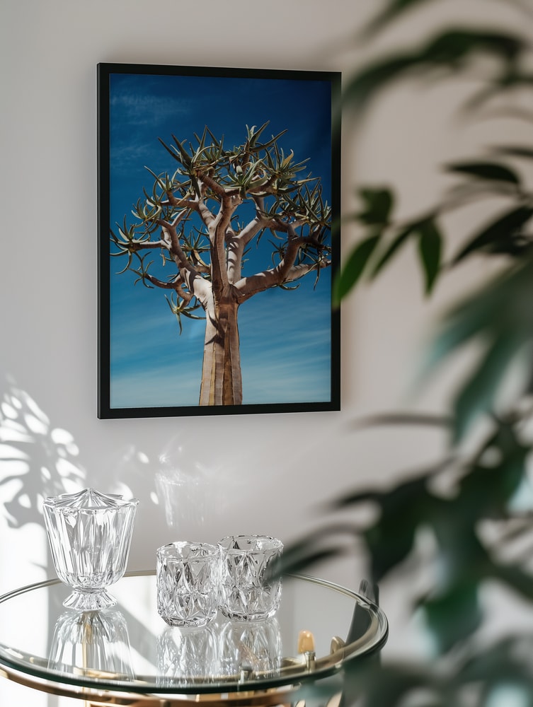 Quiver Tree Blue Sky