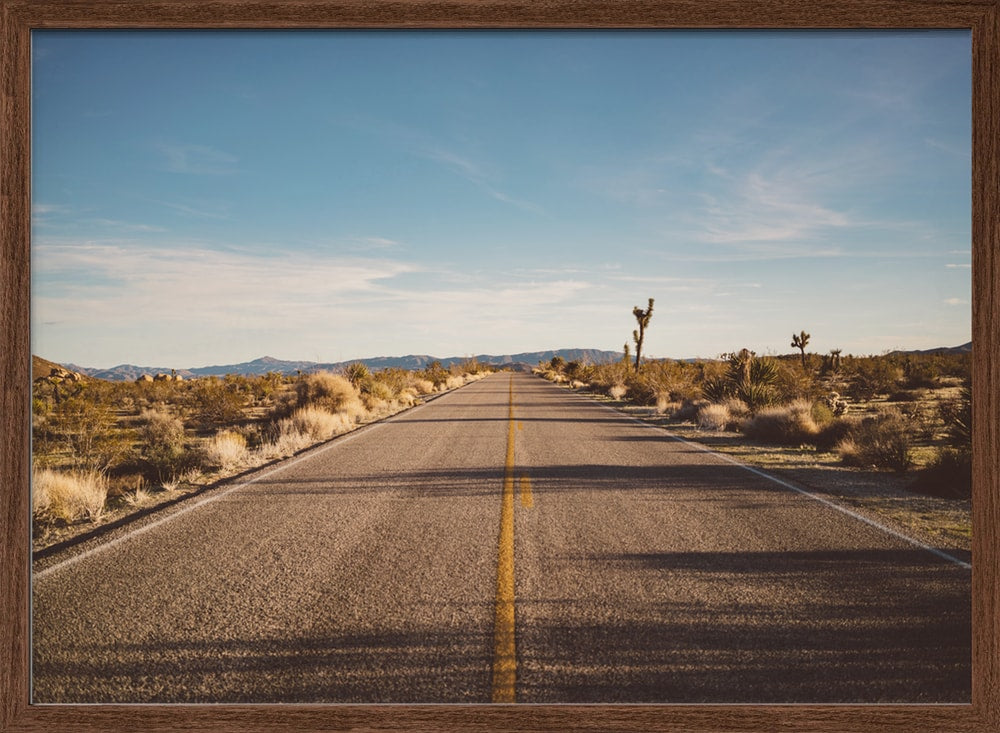 Open Desert Road