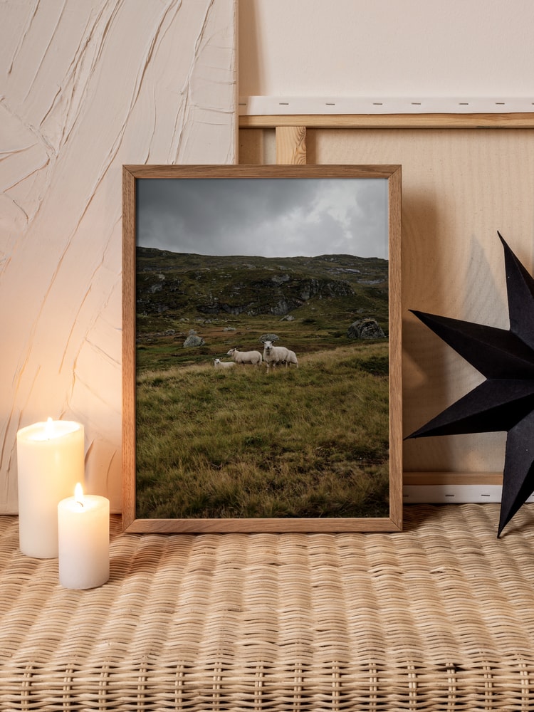Three Sheep Highlands