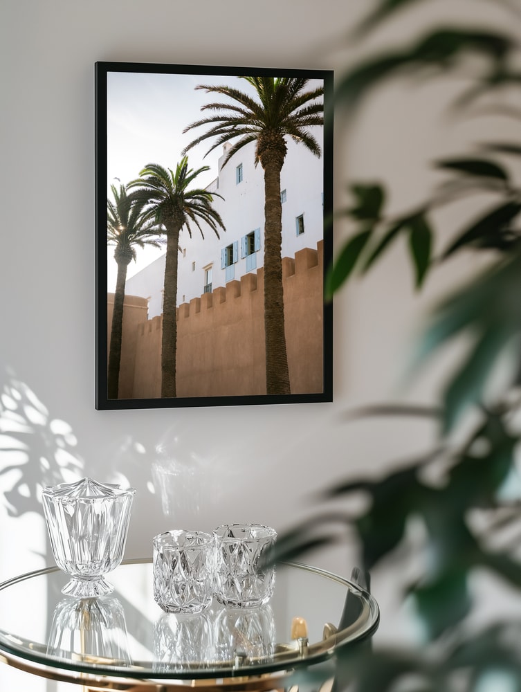 Sunny Palms And White Walls