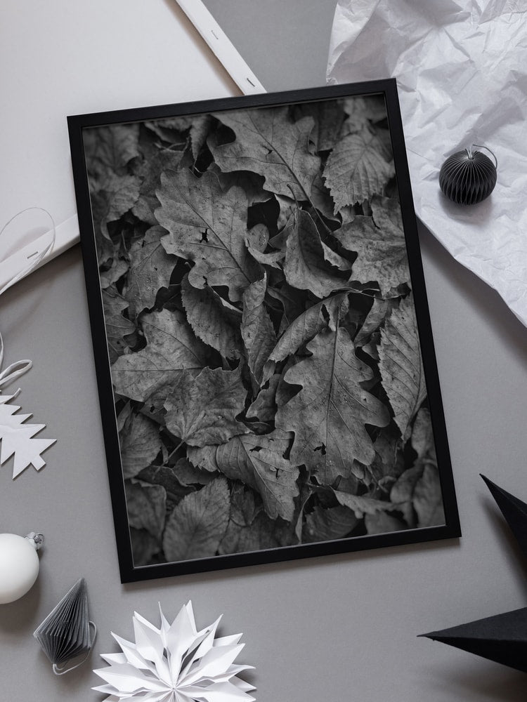 Monochrome Fall Foliage