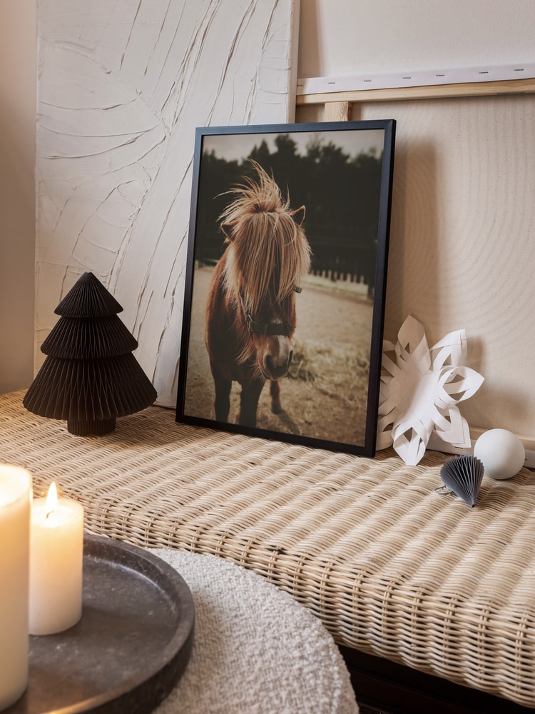 Adorable Shaggy Pony