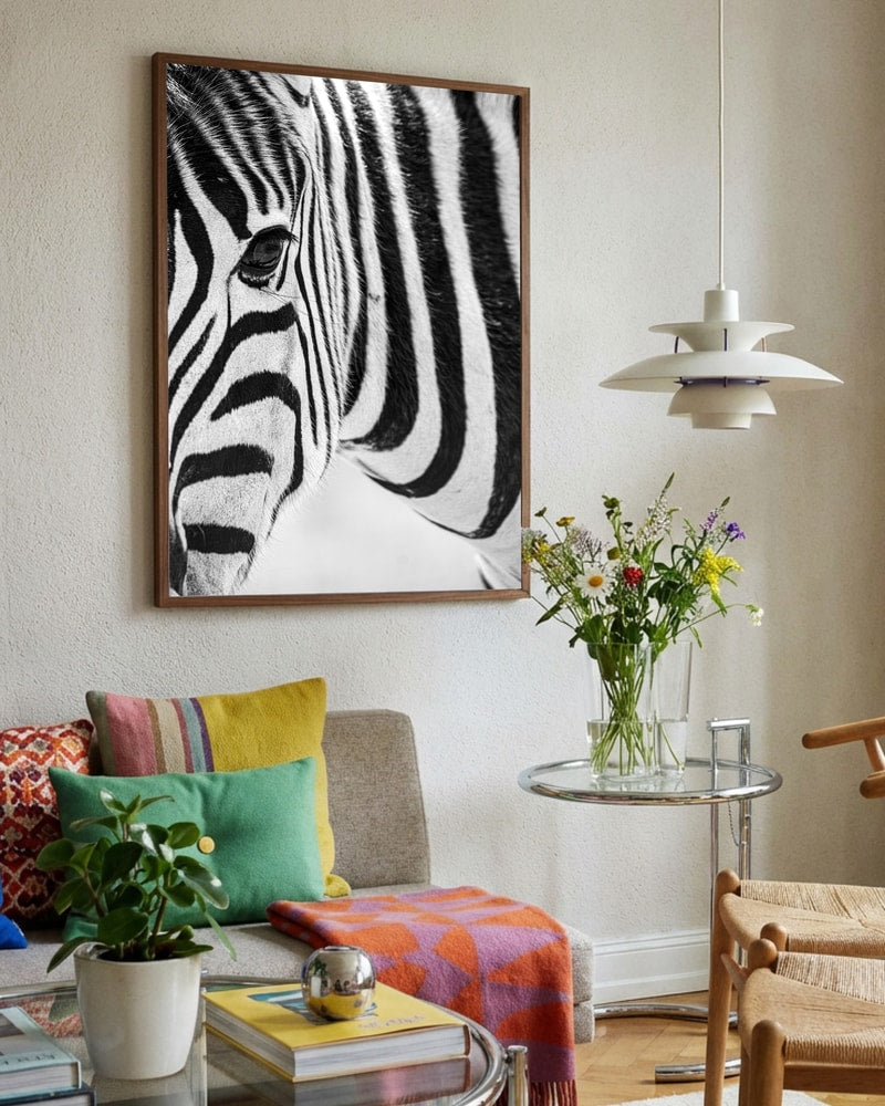 Black And White Zebra