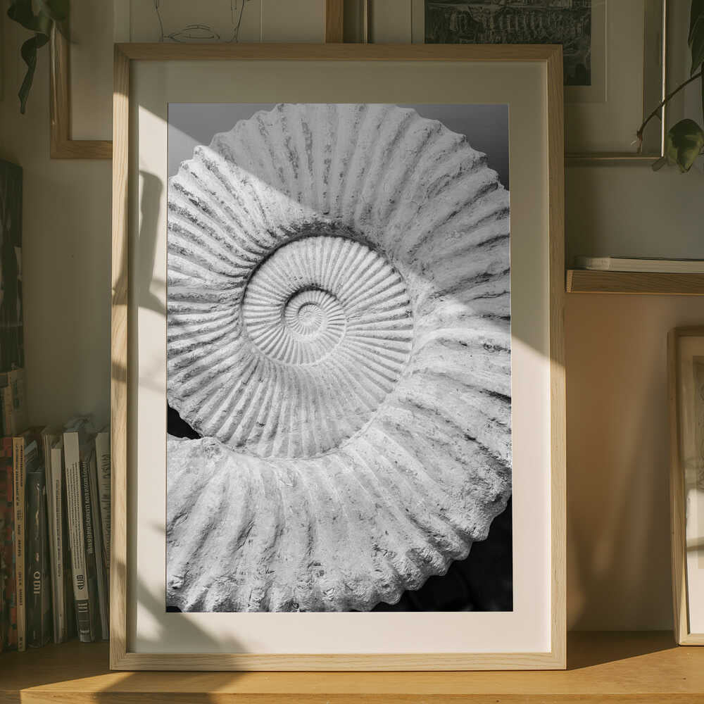 Spiral