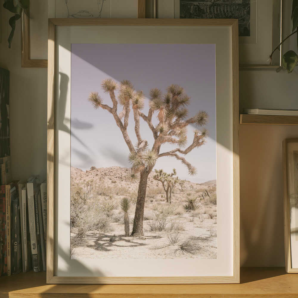 Desert Serenity