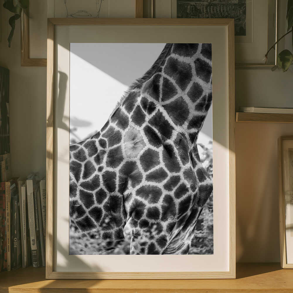 Mönstrad giraff