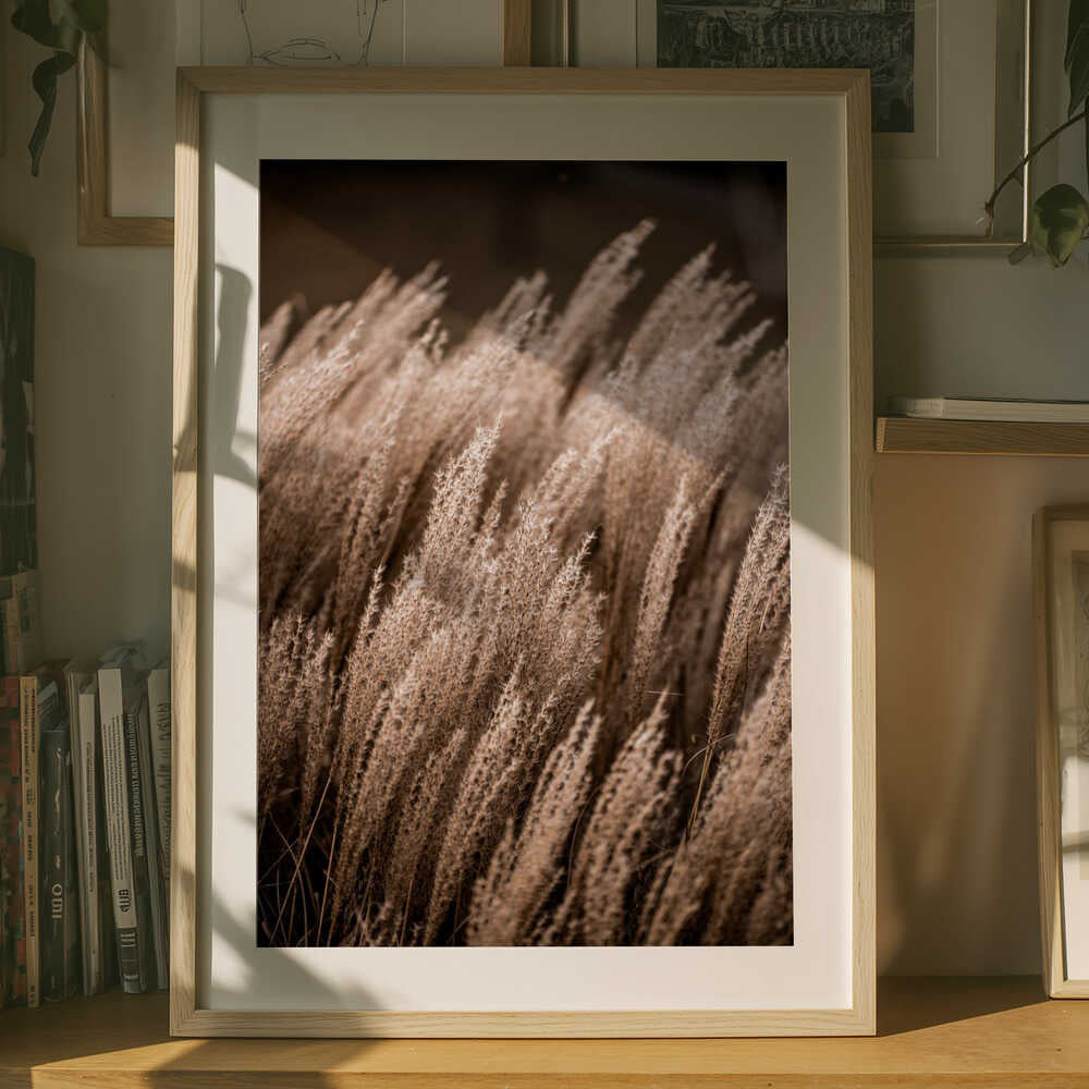 Grass
