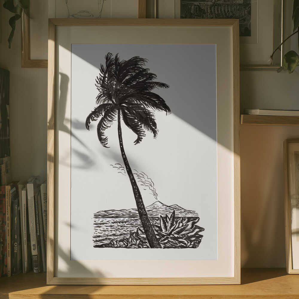Palm Tree With an Island (ca. 1891–1941)