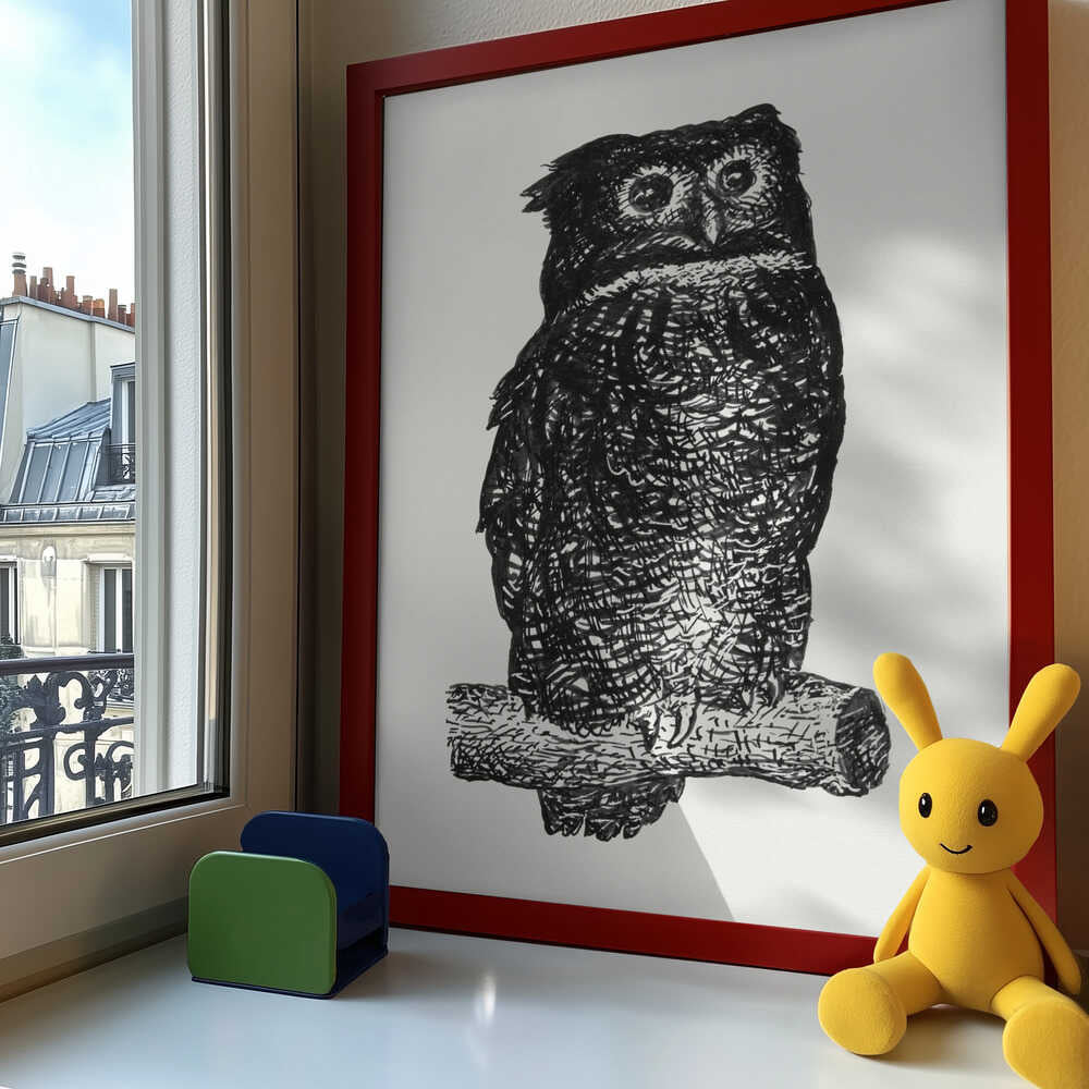 Owl