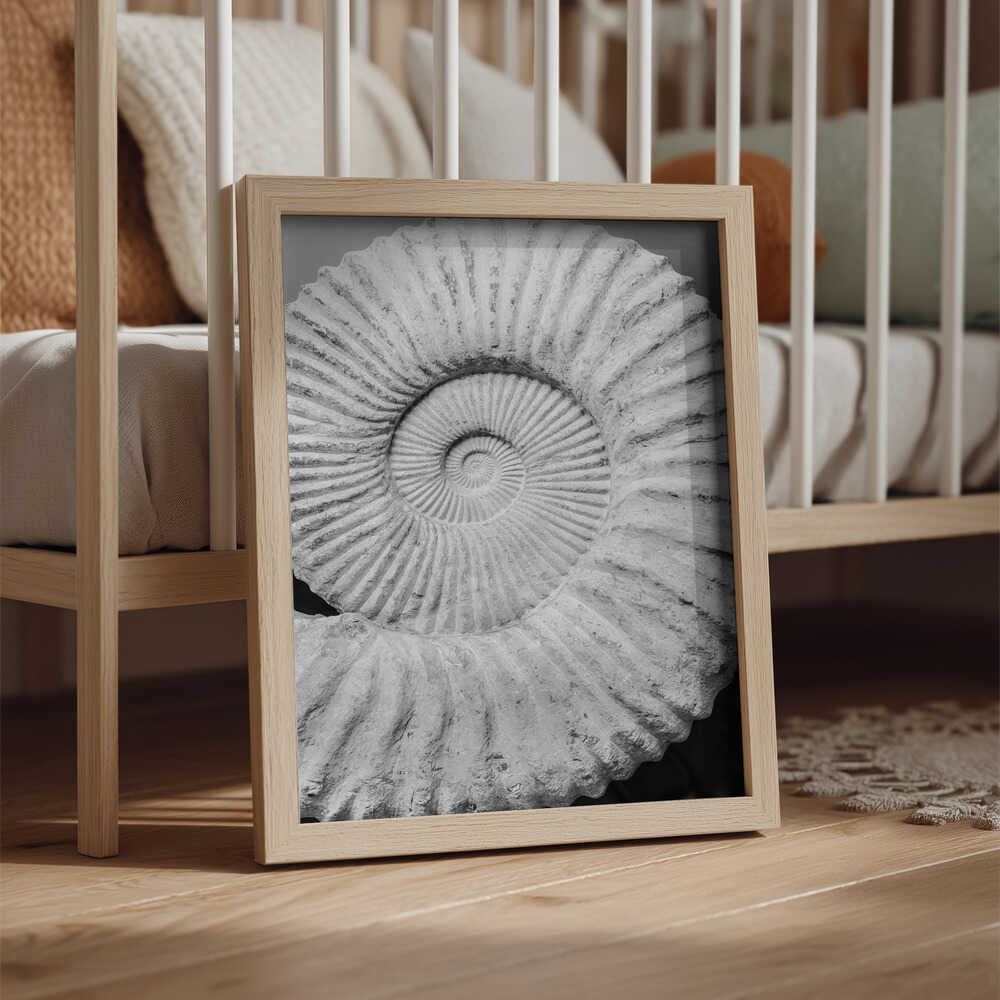 Spiral