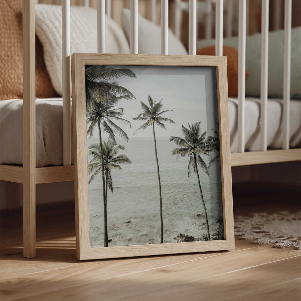 Tropical Dreams