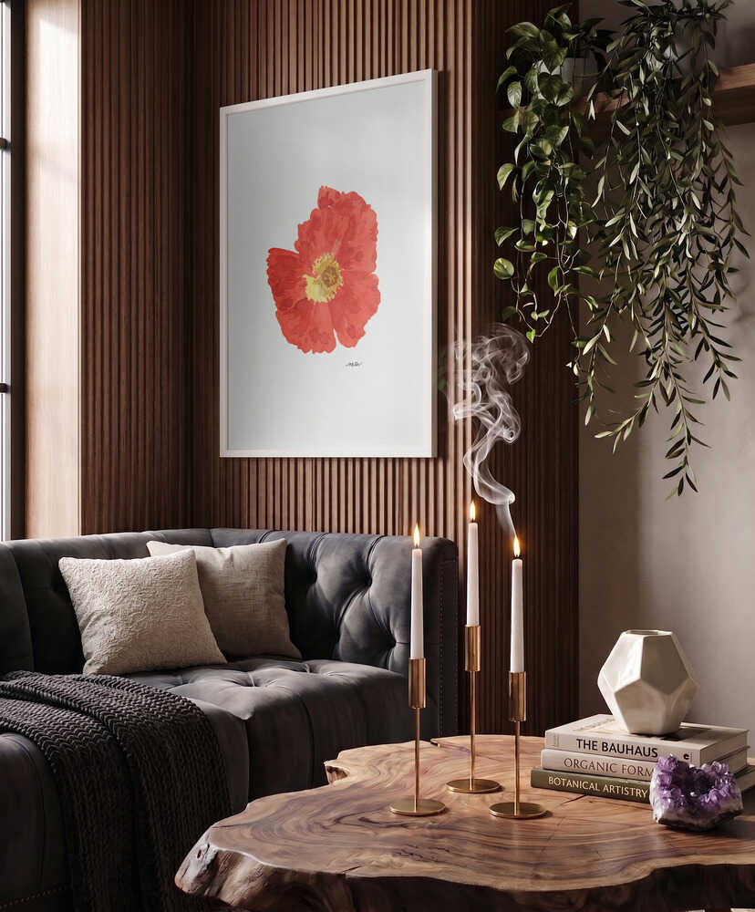 Single Red Poppy