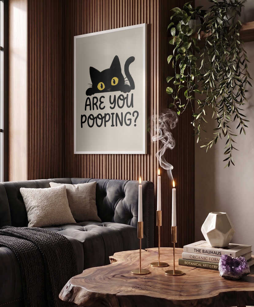 Funny Peeking Cat