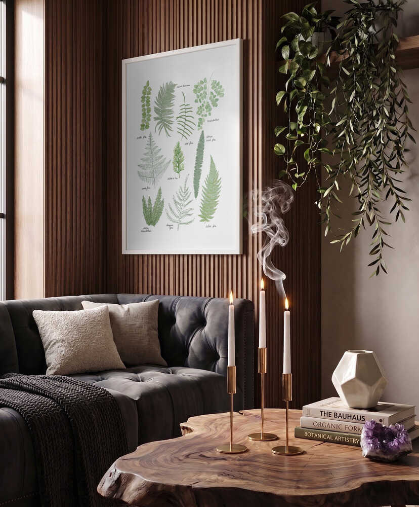 Illustrated Fern Varieties