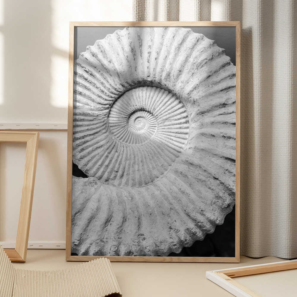 Spiral