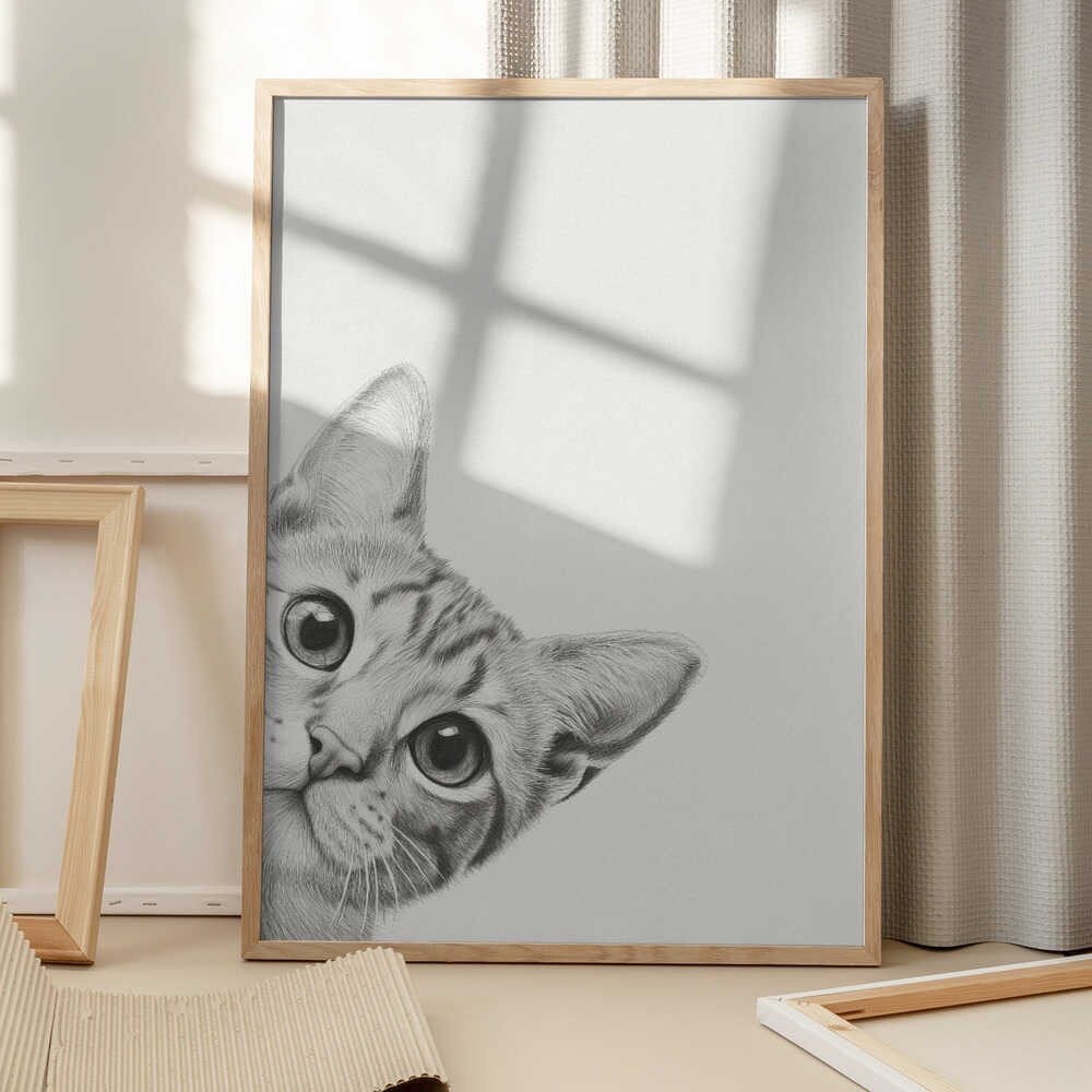 Nyfiken katt