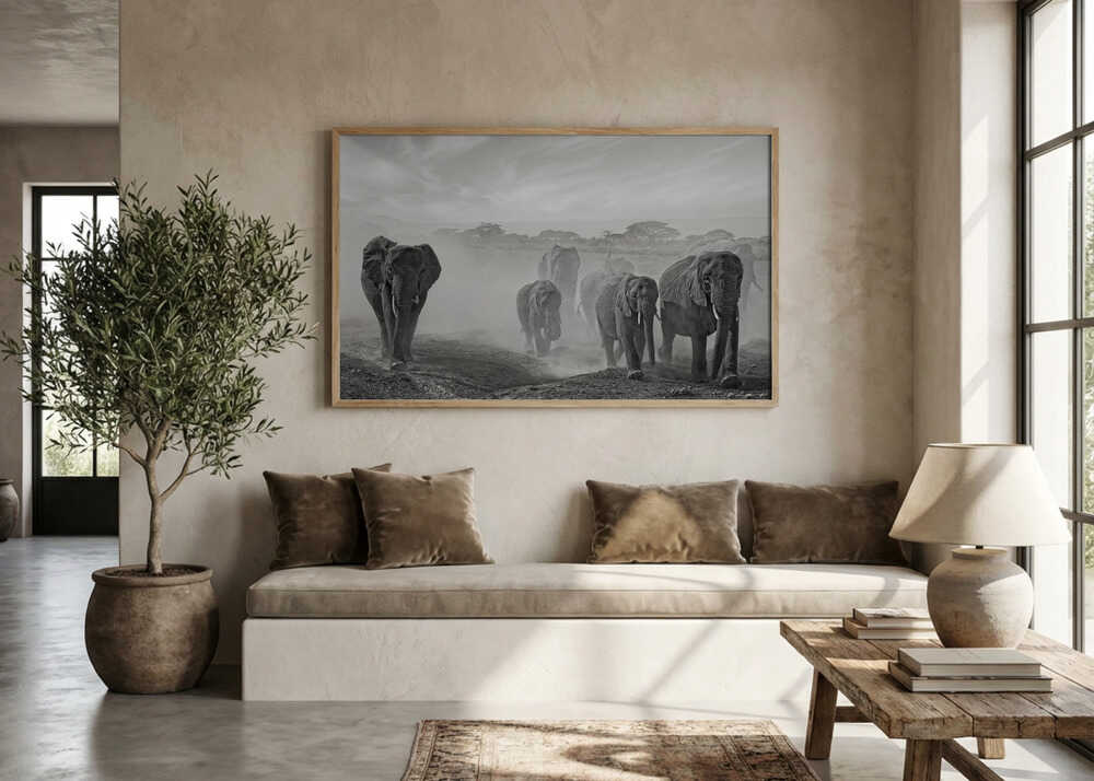 Elephants In Dust