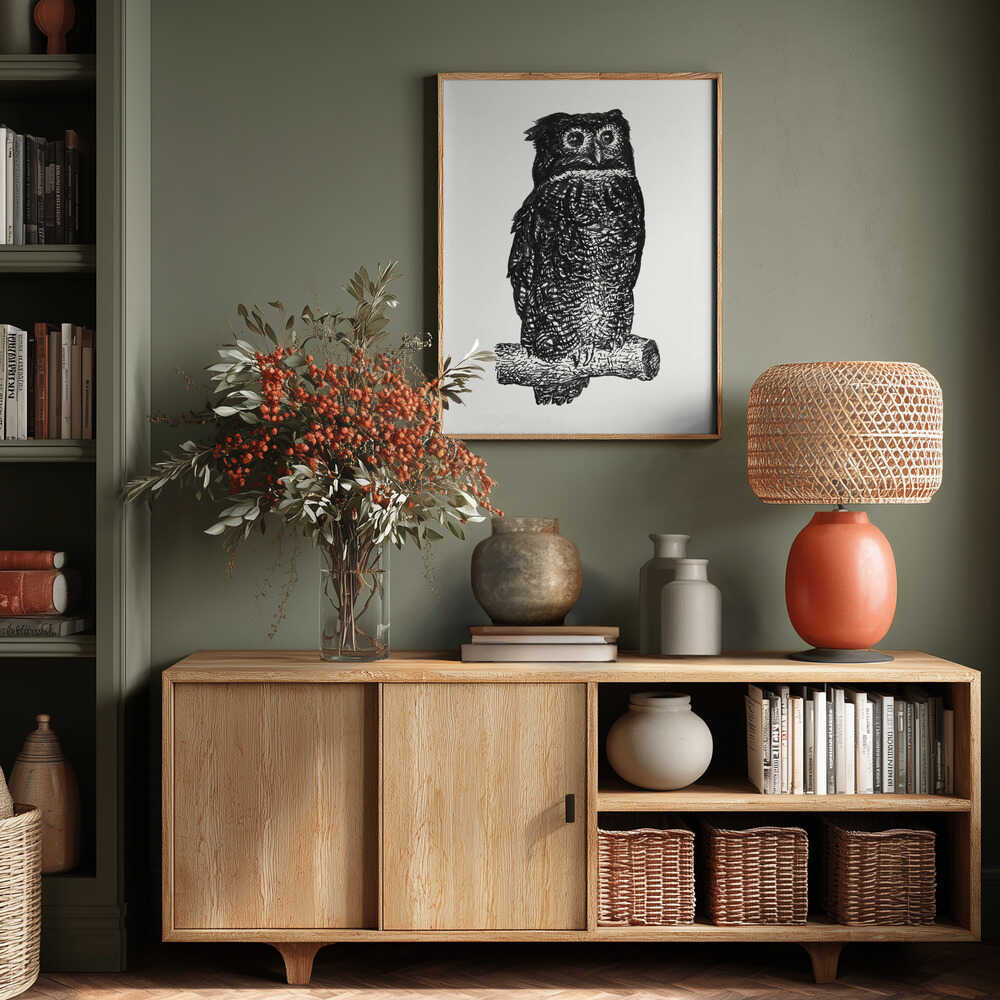 Owl