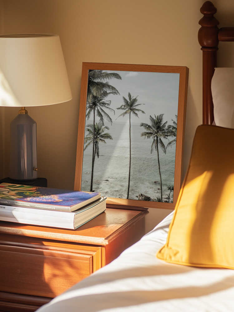 Tropical Dreams