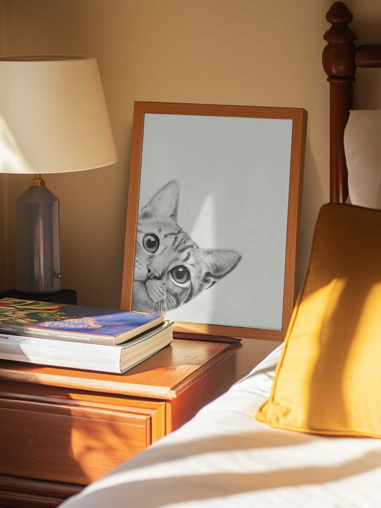 Nyfiken katt