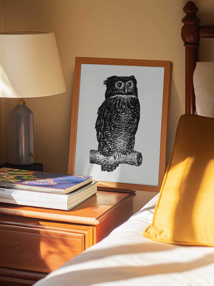 Owl