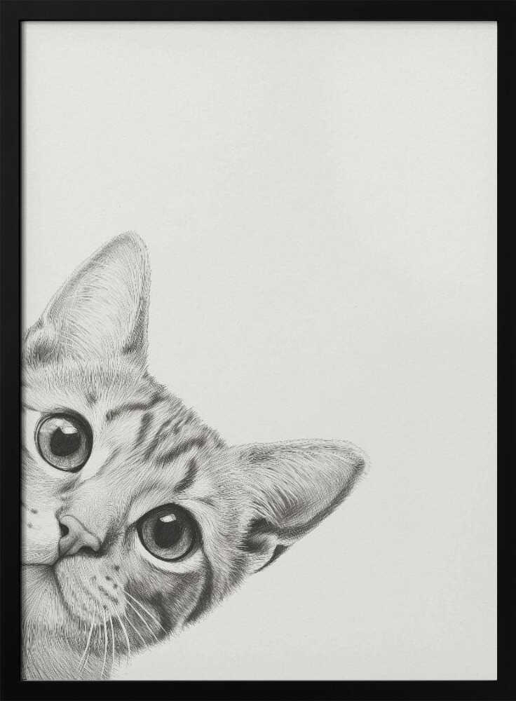 Nyfiken katt