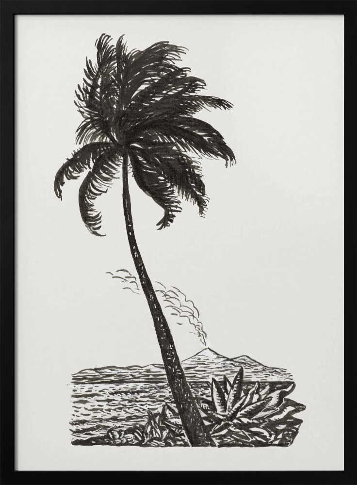 Palm Tree With an Island (ca. 1891–1941)