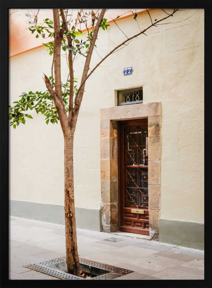 Rustic Doorway Tree
